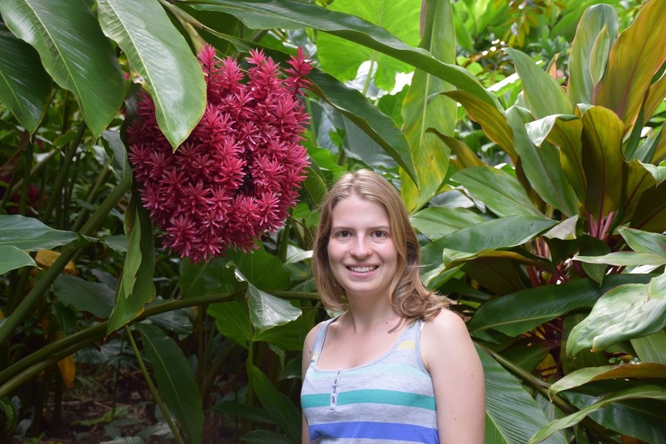 Cookinseln - Rarotonga - 