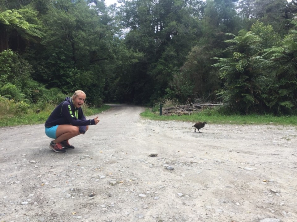 Neuseeland - Oparara River - 
