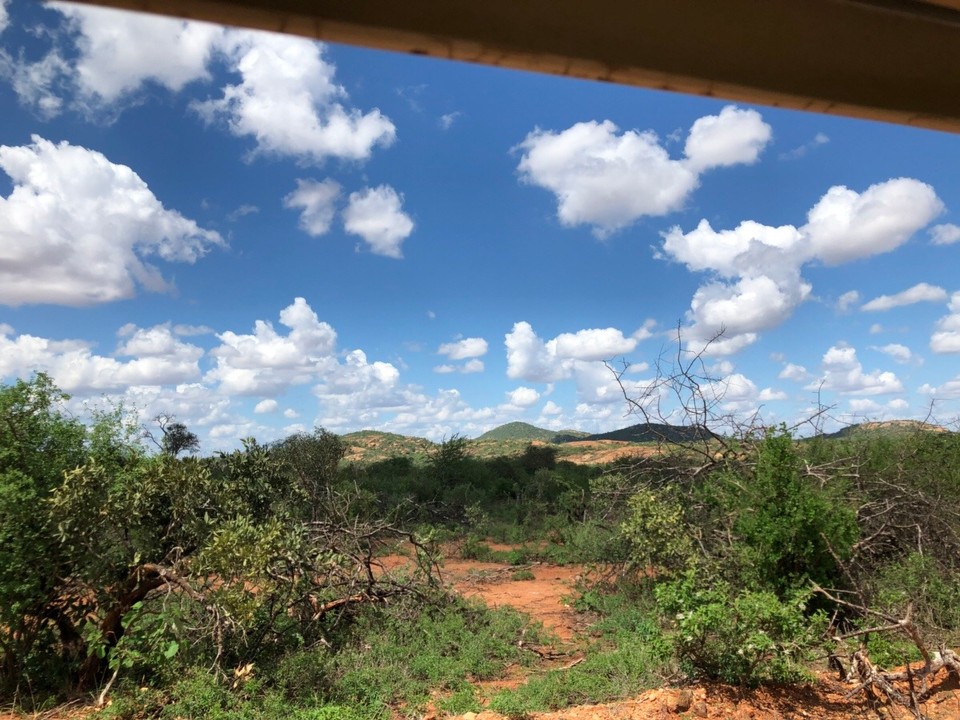 Kenia - Taita - 
