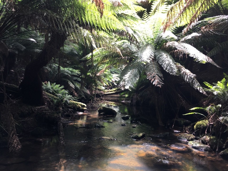 Australia - Warrnambool - 