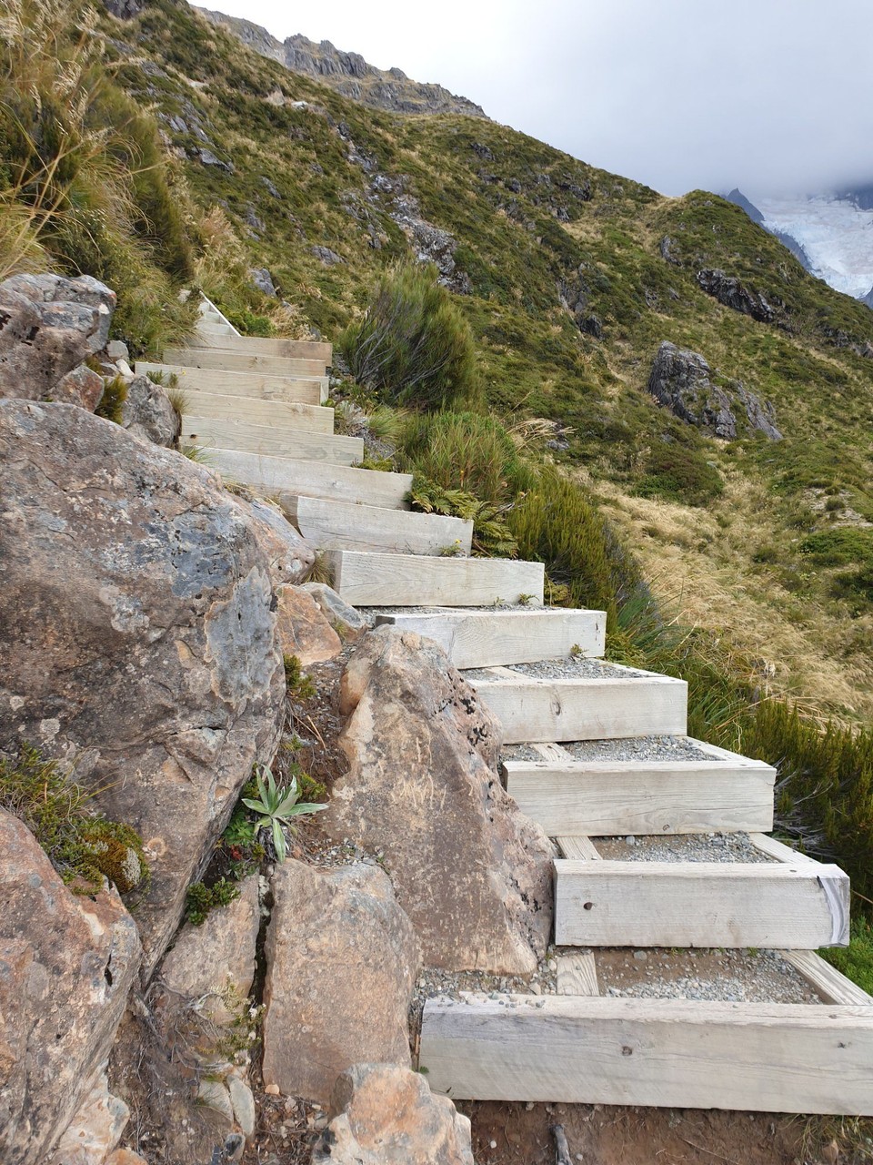 Neuseeland - Aoraki - 