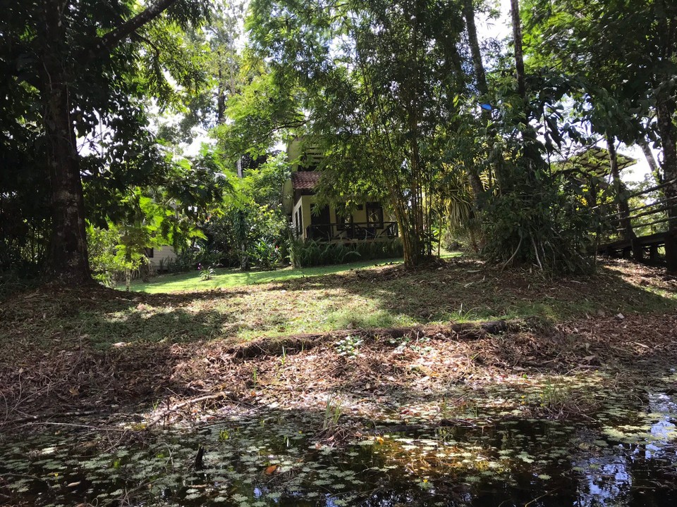 Costa Rica - San Carlos - 