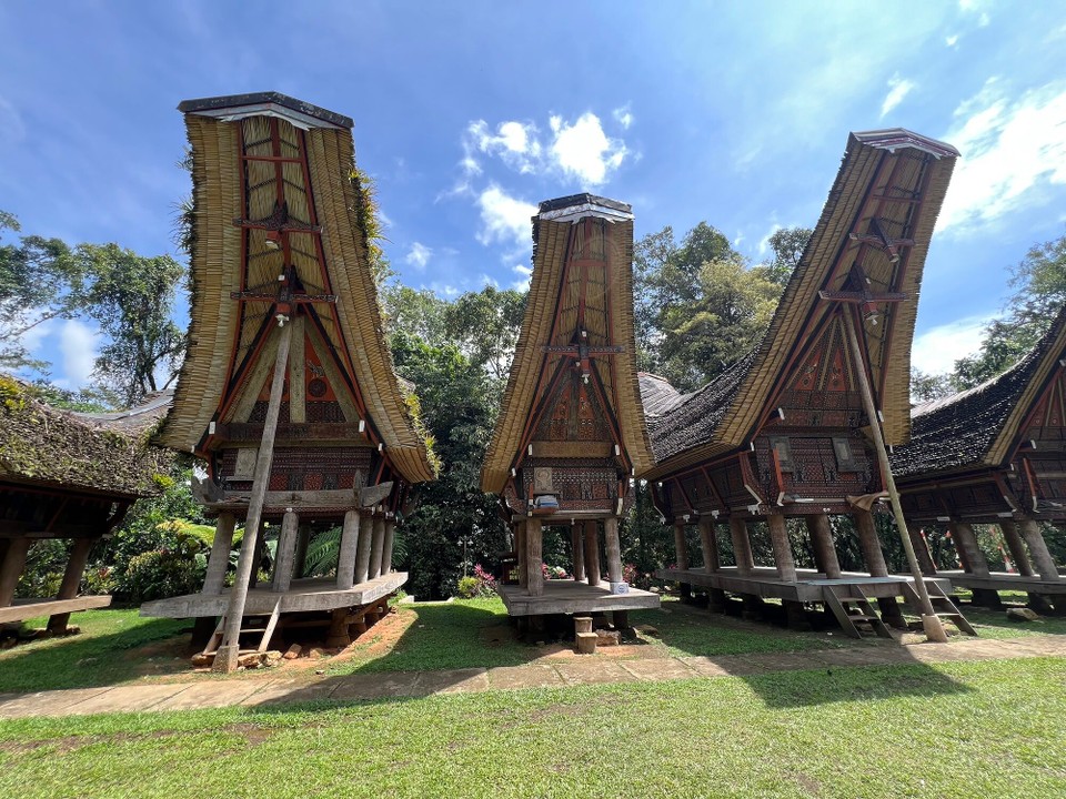 Indonesien - North Toraja Regency - Die Wohnhäuser sind schön verziert mit Schnitzereien und Büffelhörnern. Alle stammen von geopferte Tiere.