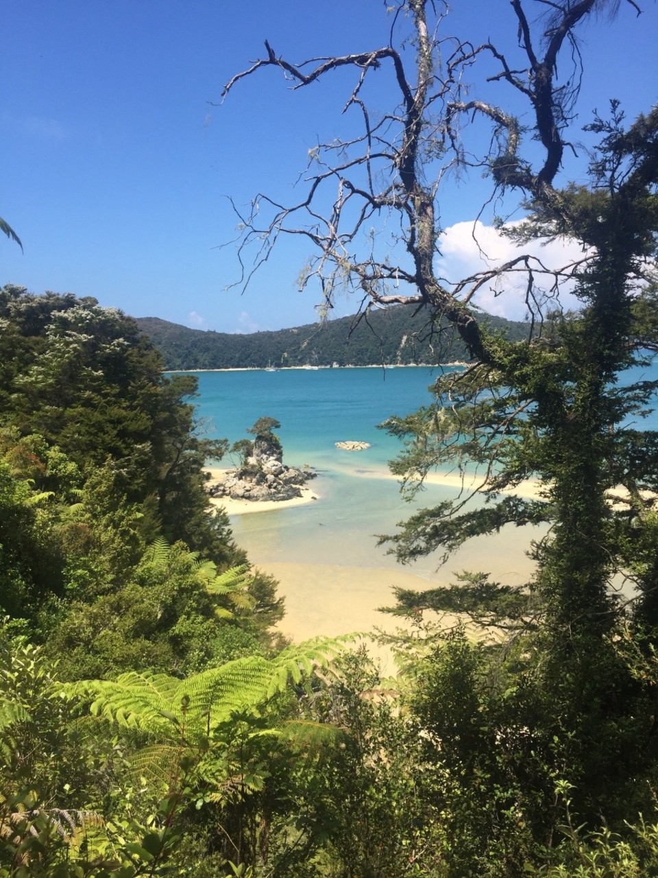 Neuseeland -  - 