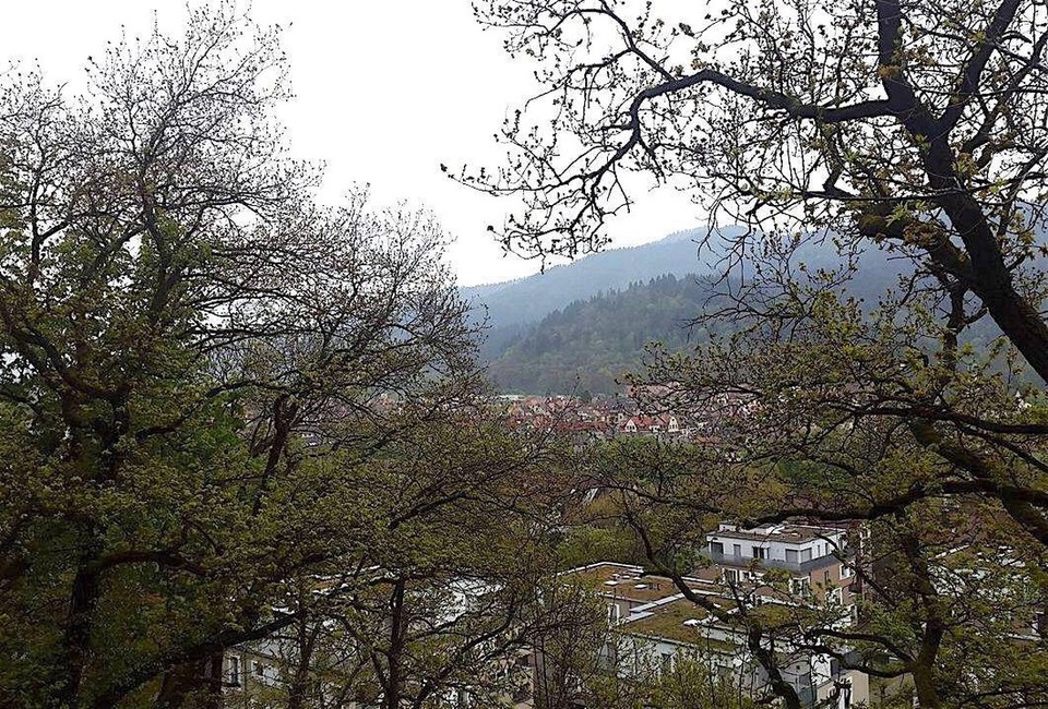 Alemania - Friburgo - 