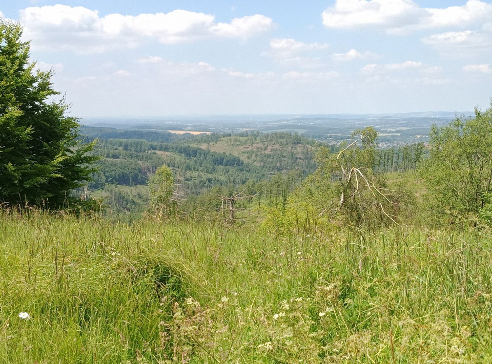 Deutschland - Horn-Bad Meinberg - Mit dieser Aussicht verlasse ich den Kamm und mache mich auf den Rückweg. Heute hat alles gepasst. 