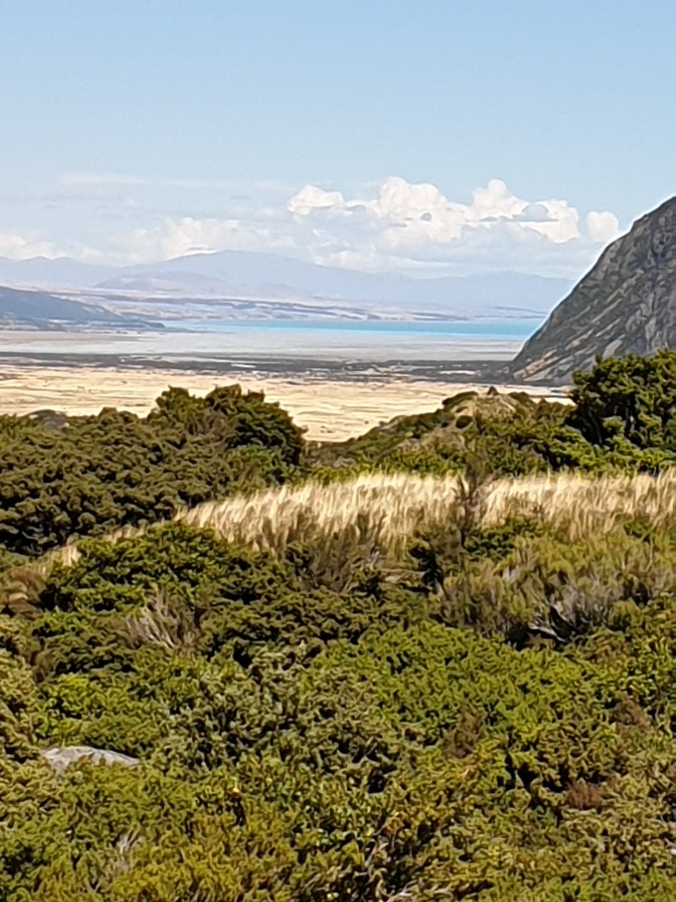 Neuseeland - Aoraki - 