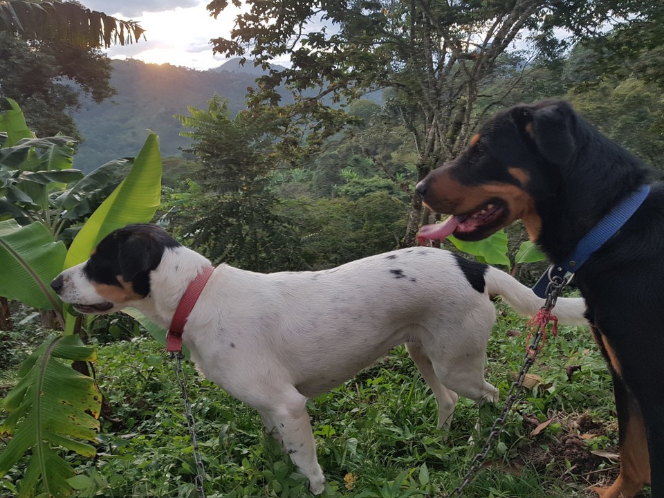 Nicaragua - Dipilto - Gela y Rosco - woooh vamos a caminar finalmente!
