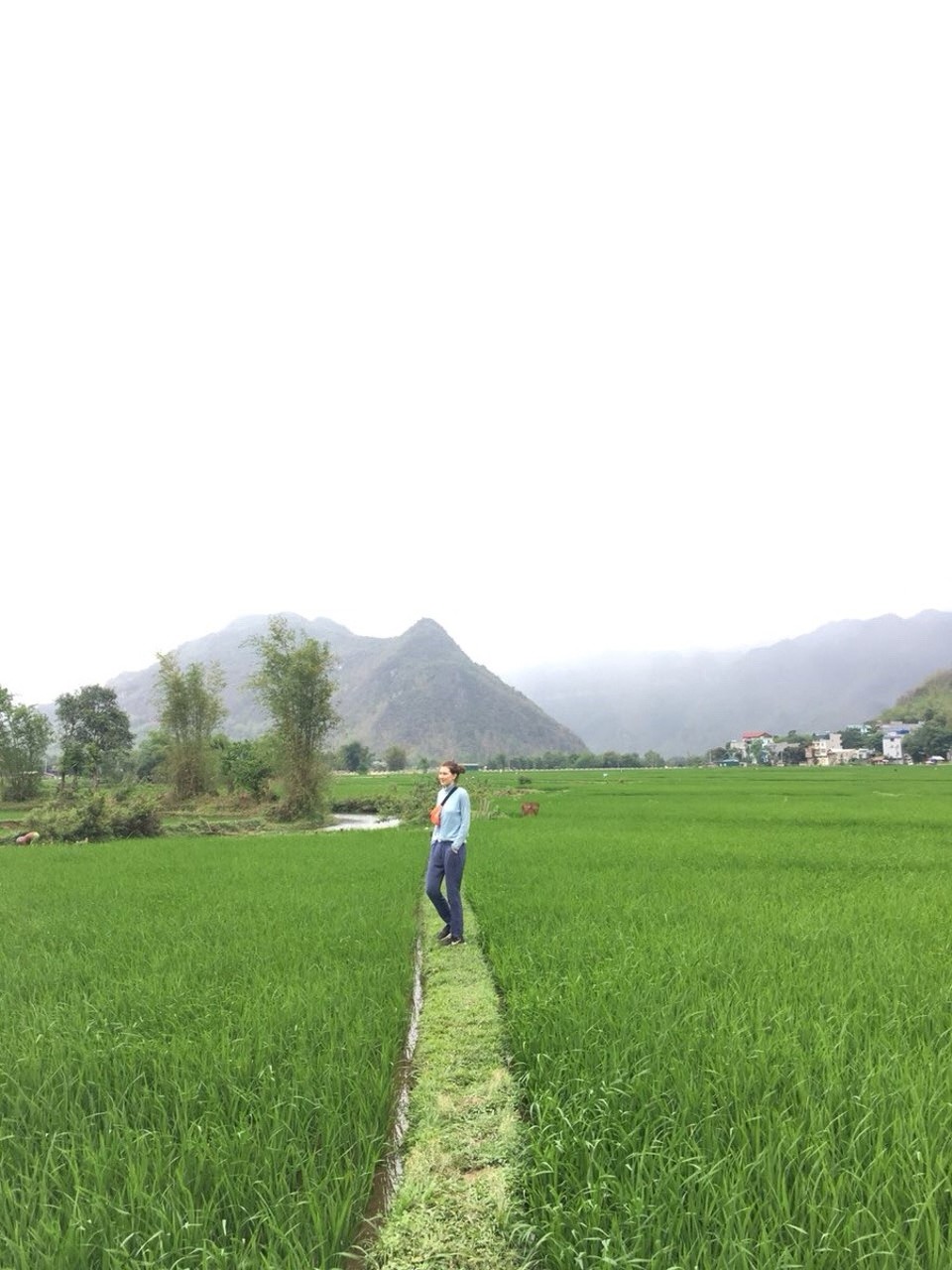 Vietnam - H. Mai Châu - 