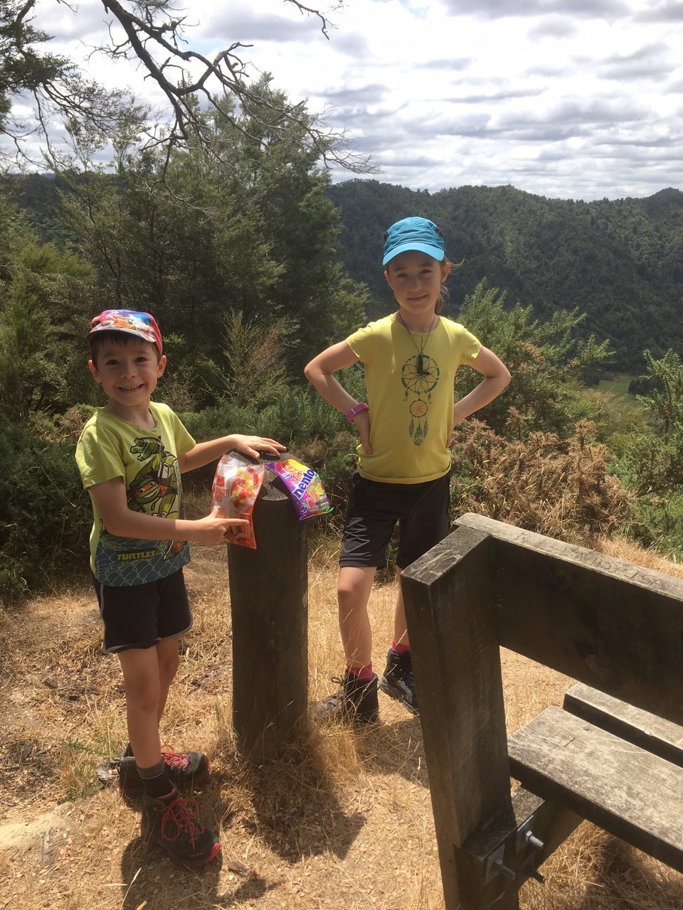 Neuseeland - Parikino - Aha jetzt wissen wir für was die Nägel sind ! 