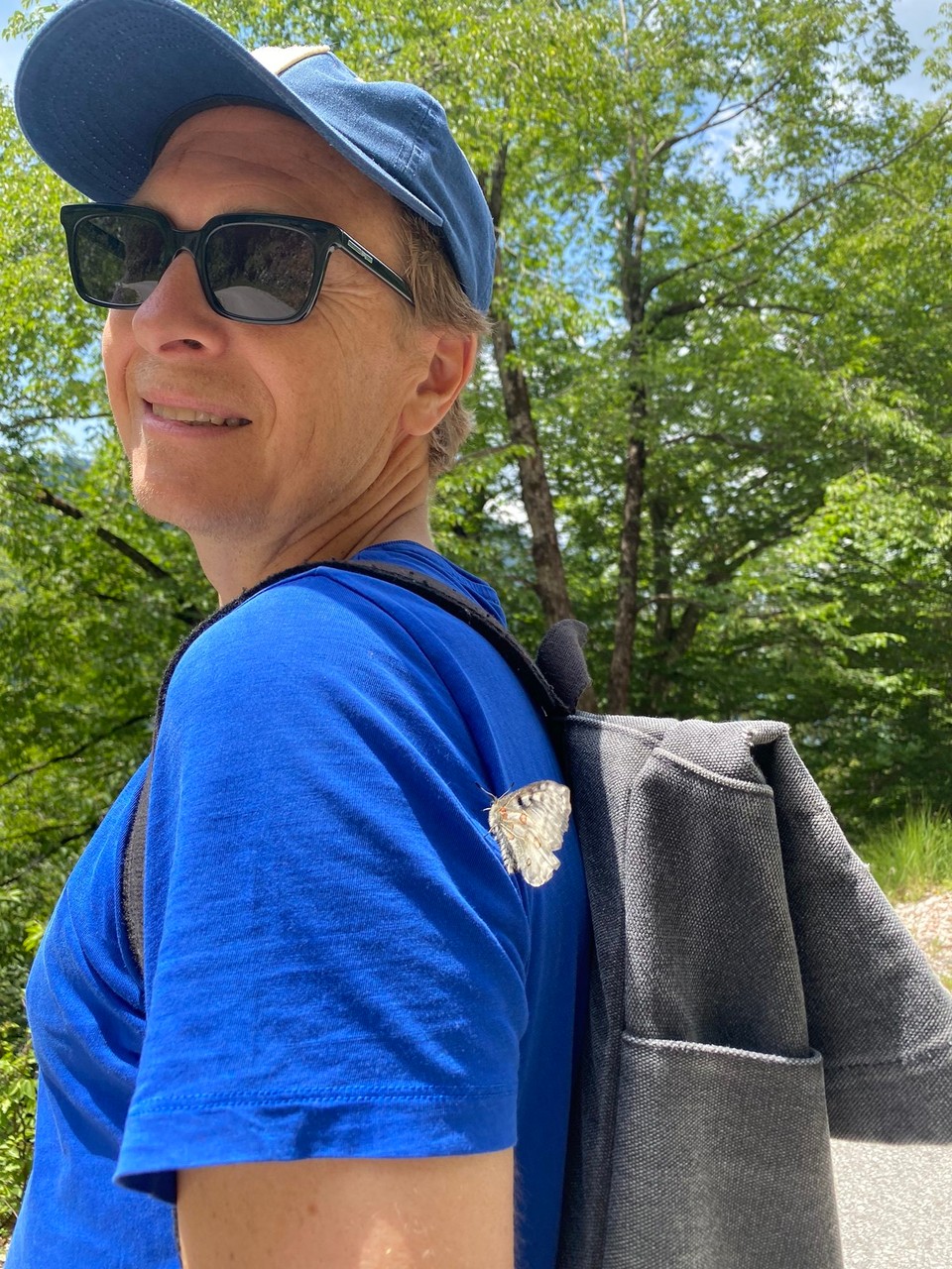 Slowenien - Bovec - Schmetterlinge überall 