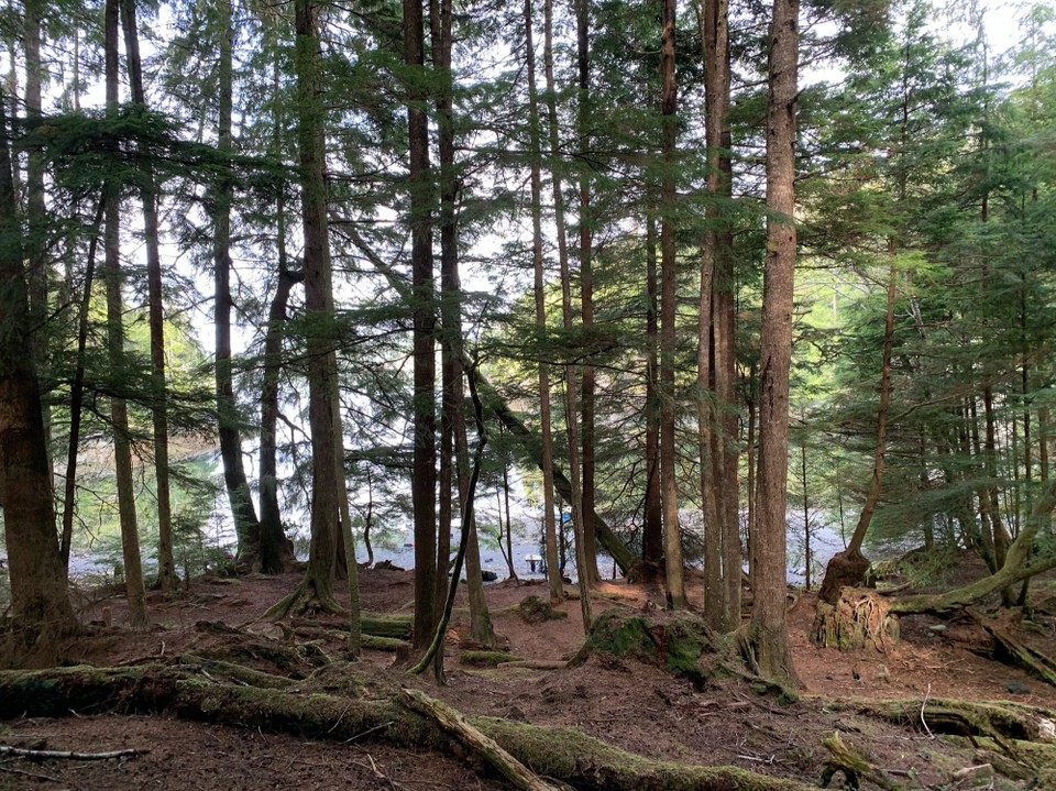 Kanada - Mount Waddington A - 