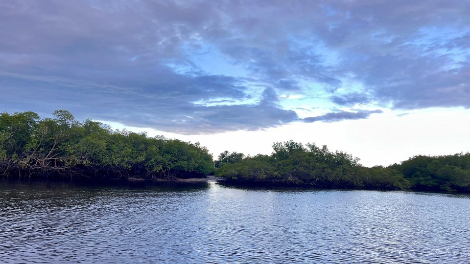 Brasilien - Cairu - Rückfahrt durch das Labyrinth der Mangroven