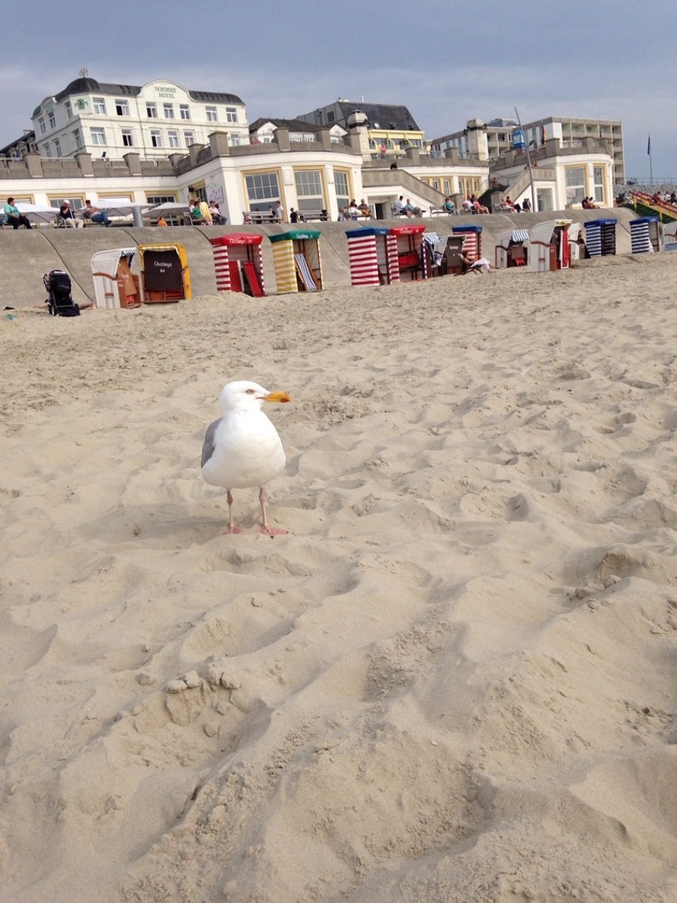 Deutschland - Borkum - "Hello, how are you, darling?" In the back Hotel Northsea