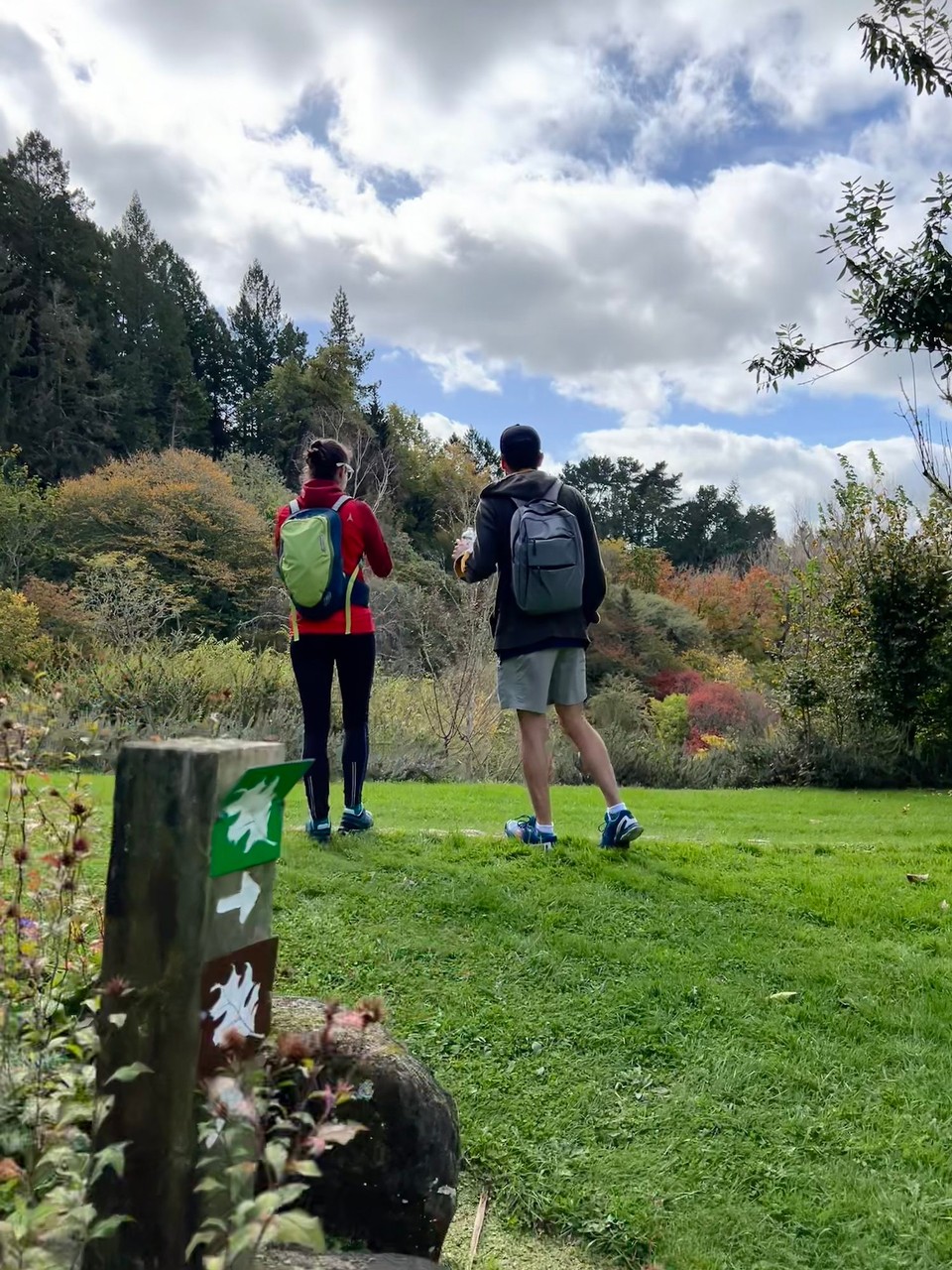 Neuseeland - Gisborne - Mh, welchem Pfad sollten wir folgen 🤔