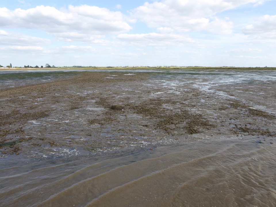 United Kingdom - Southminster - 