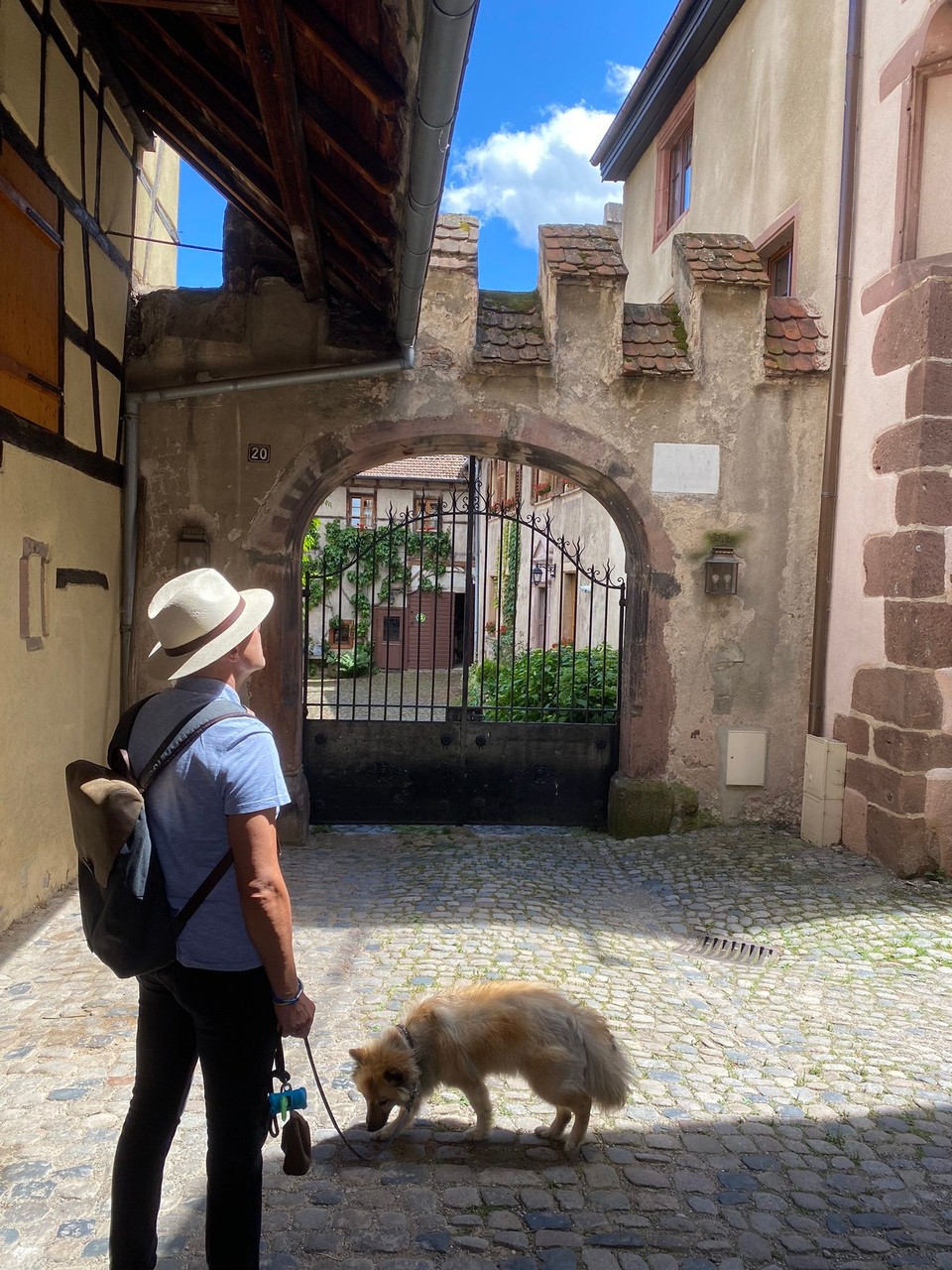 Frankreich - Ribeauvillé - 