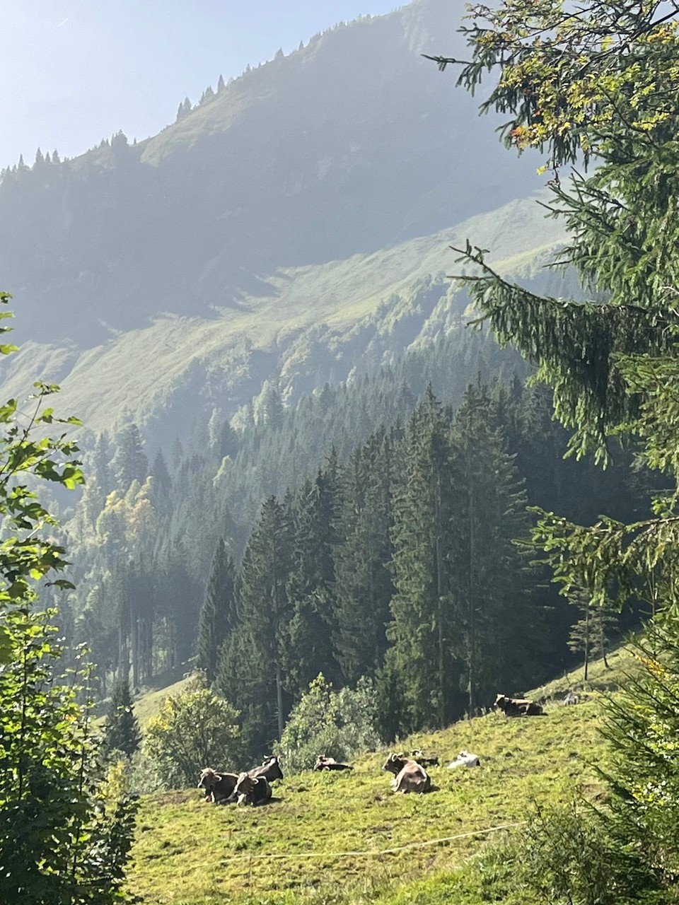 Deutschland - Oberstdorf - 