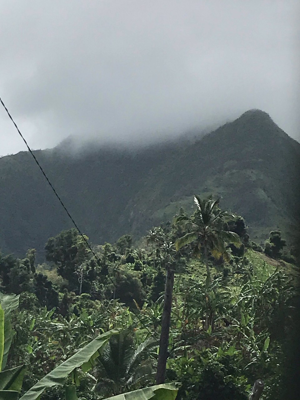 Dominica -  - 