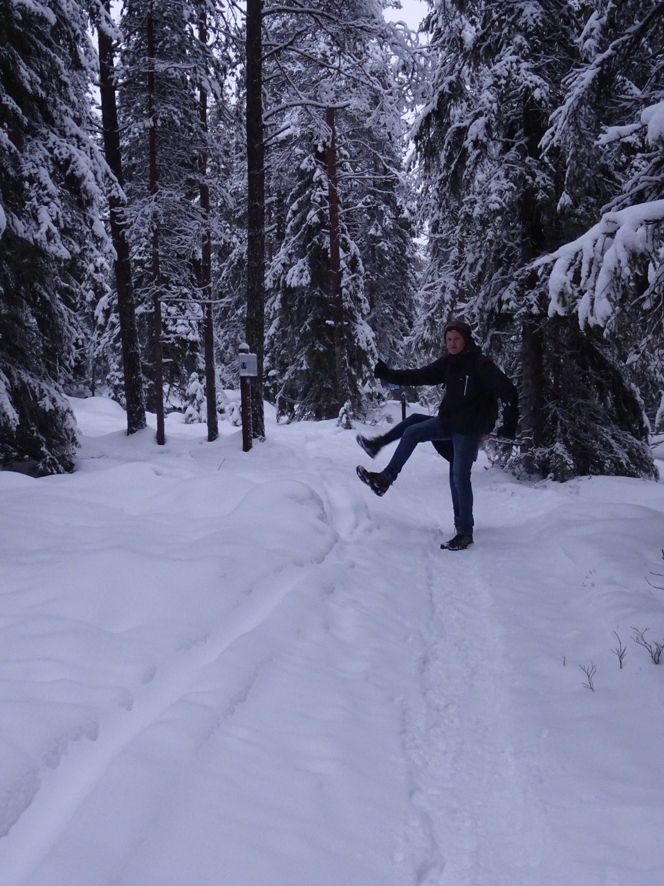 Finnland - Rovaniemi - 