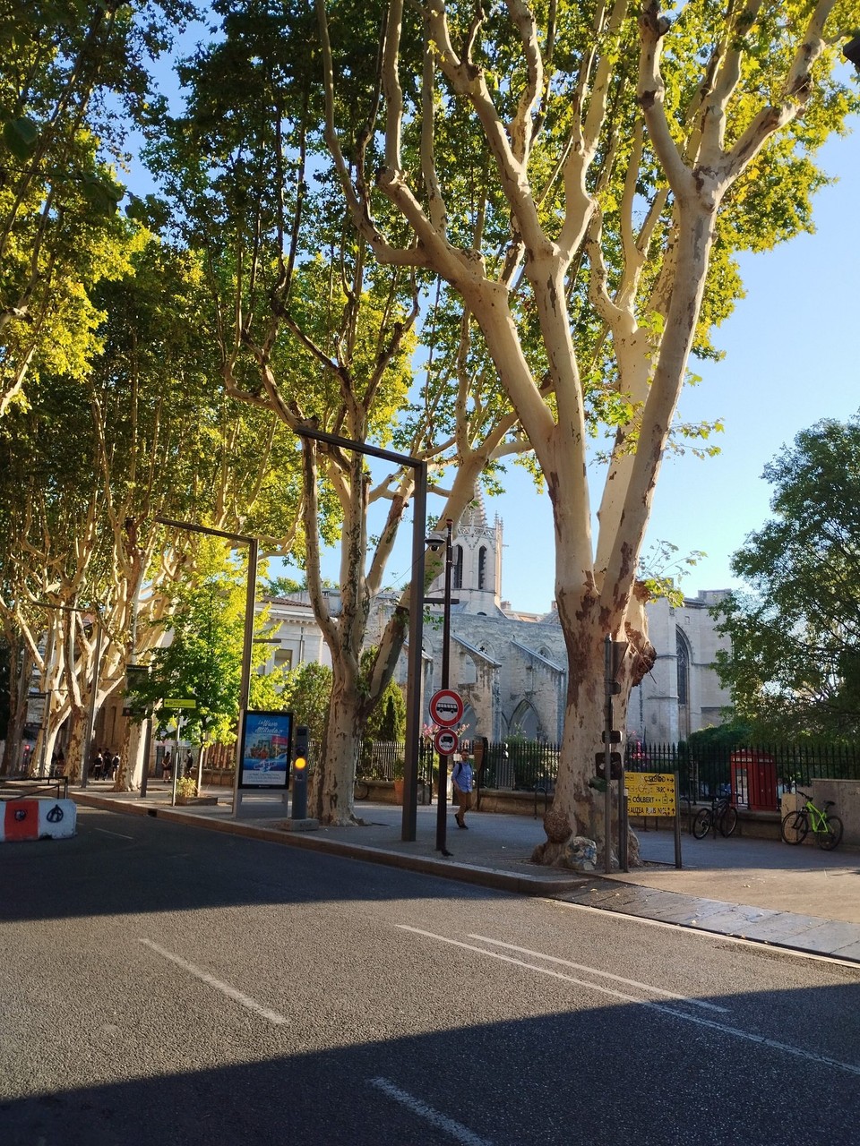Frankreich - Avignon - 