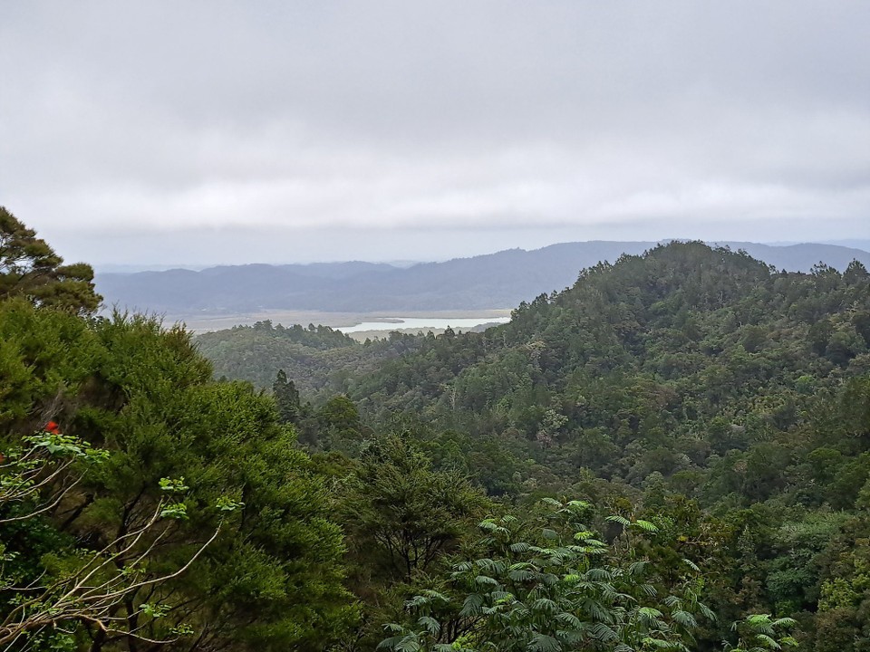 Neuseeland - Whangaruru - In der Ferne ist unser Tagesziel 