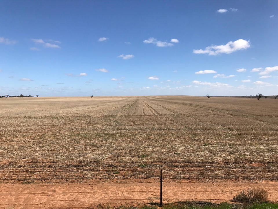 Australia - Hopetoun - Drove thru miles and miles as far as eye could see of ruralness !