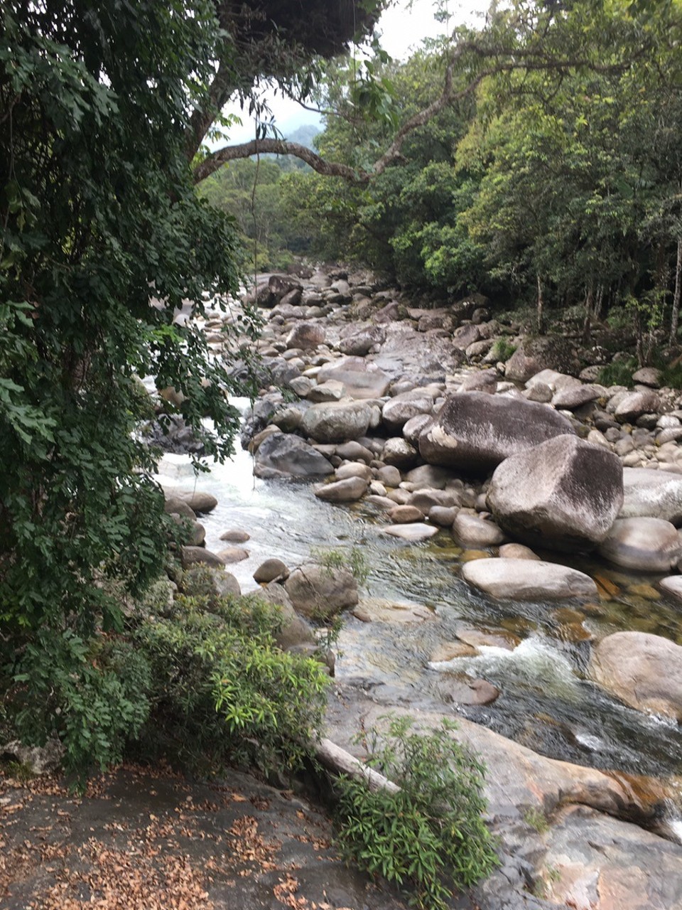 Ausztrália - Mossman Gorge - 