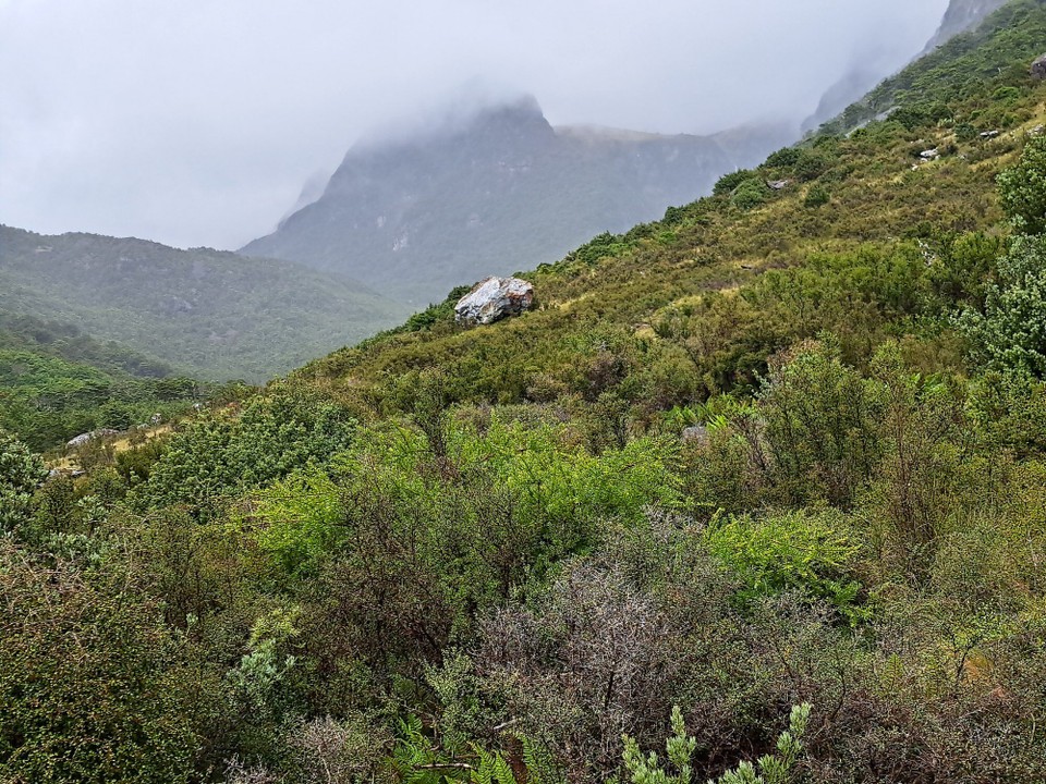 Neuseeland - Blue Lake - 