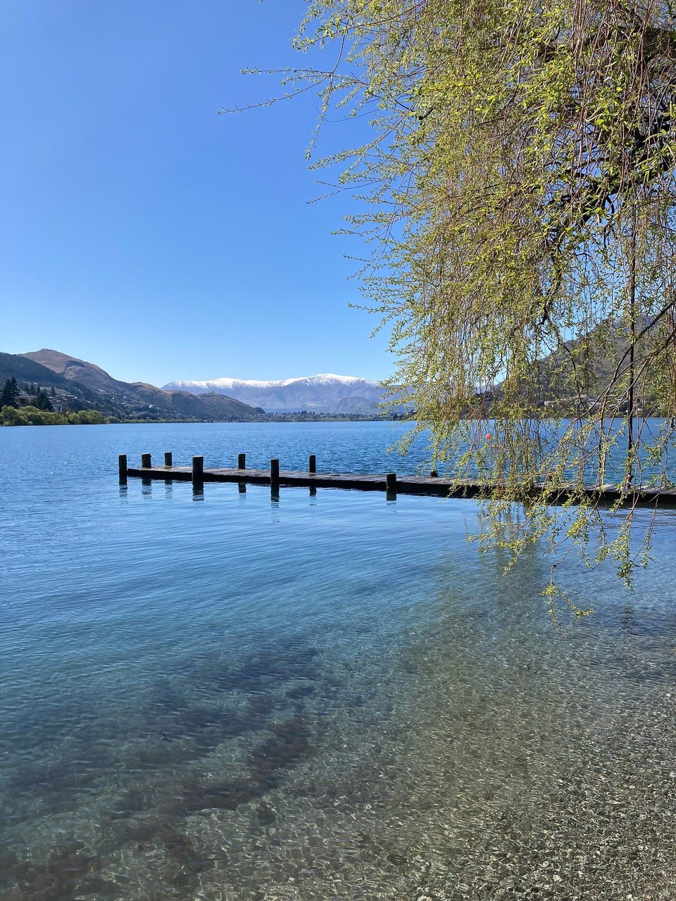 Neuseeland - Queenstown-Wakatipu Ward - 