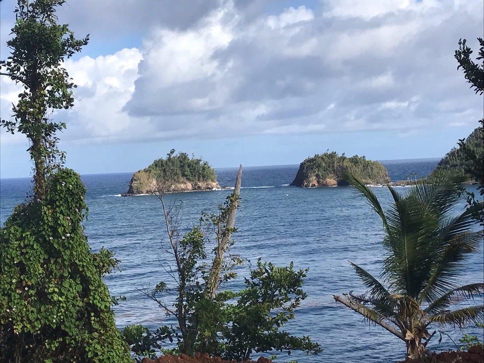 Dominica -  - 