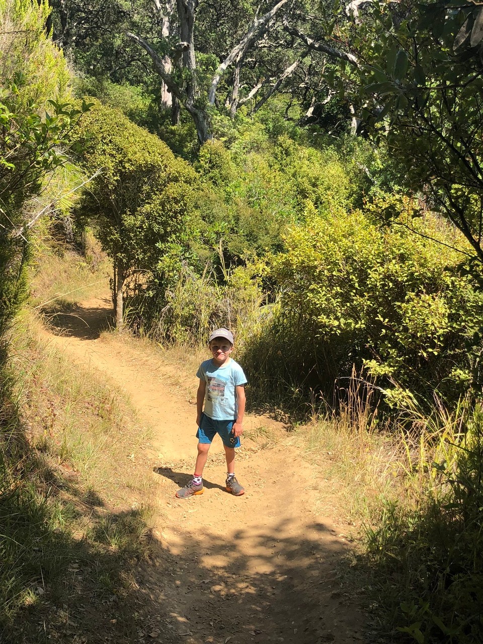 Neuseeland - Waihi Beach - 