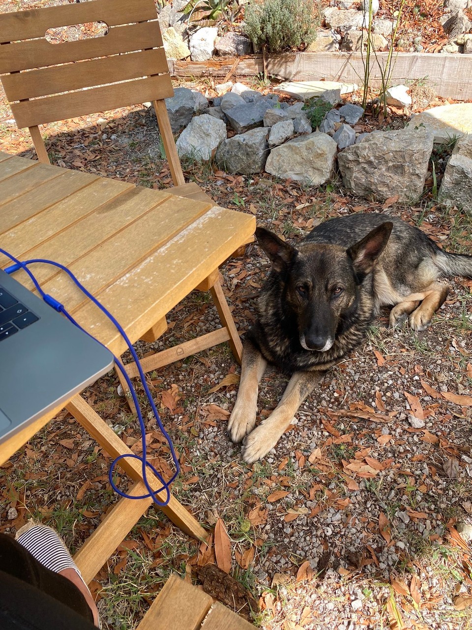 Frankreich - Tourrettes - 