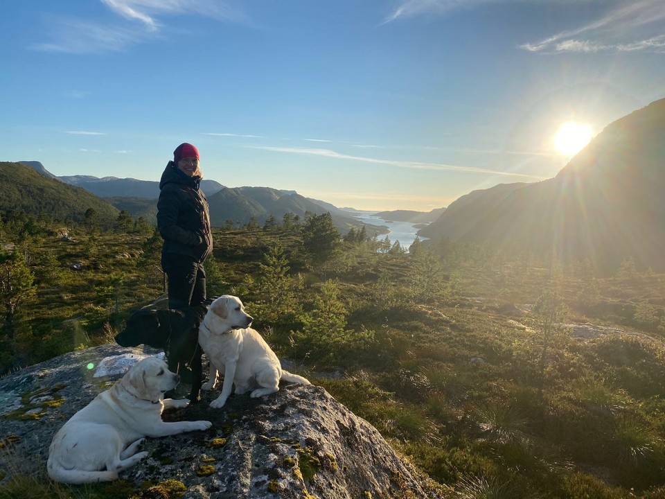 Norwegen - Aure - Perfekt! 