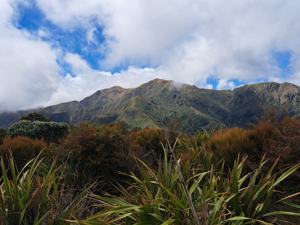 Neuseeland - Te Aroha trail PK - 