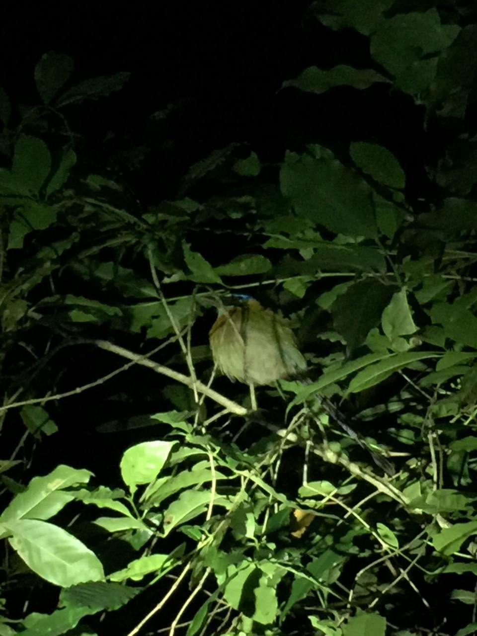Costa Rica -  - 
