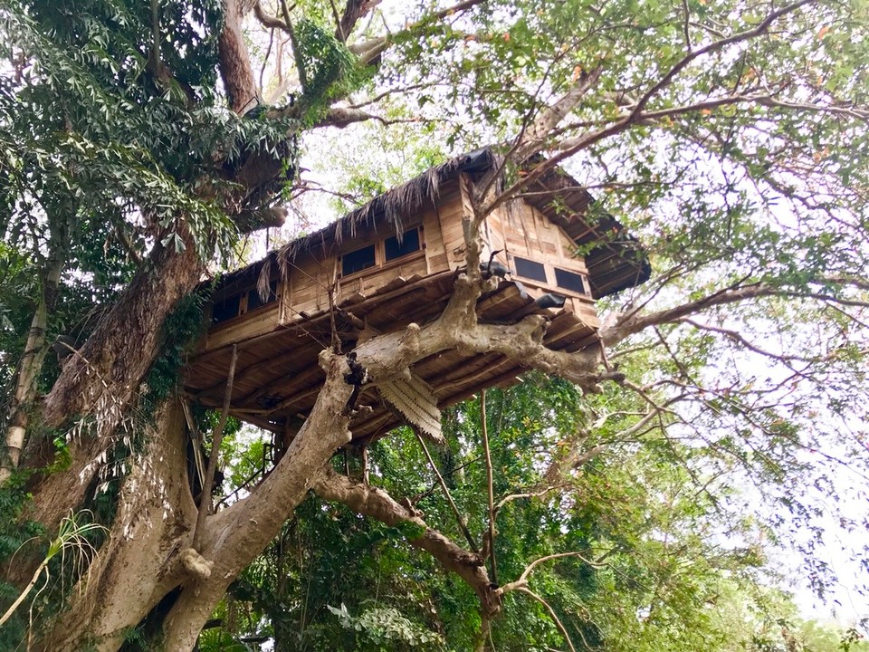 Sri Lanka -  - KUMBUK TREE HOUSE 