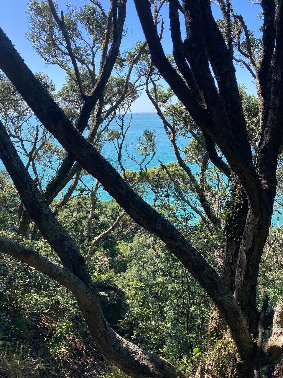 Neuseeland - Mount Maunganui - Moturiki Island