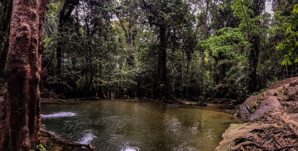 Thailand - Amphoe Chaiya - 