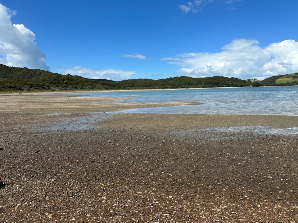 Neuseeland - Waiheke Island - 