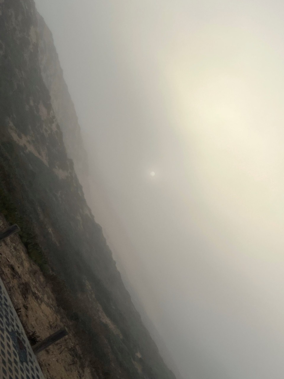 Portugal - Longueira-Almograve - Versteckt sich noch.