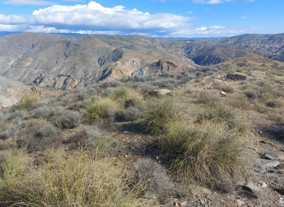 Spanien - Tabernas - ...
