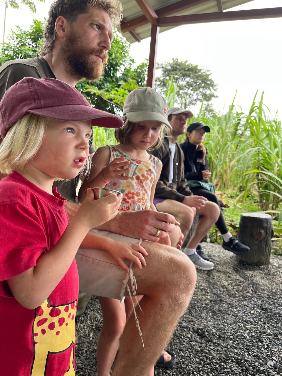 Costa Rica - La Fortuna - Der Saft schmeckt zuckrig-grasig.