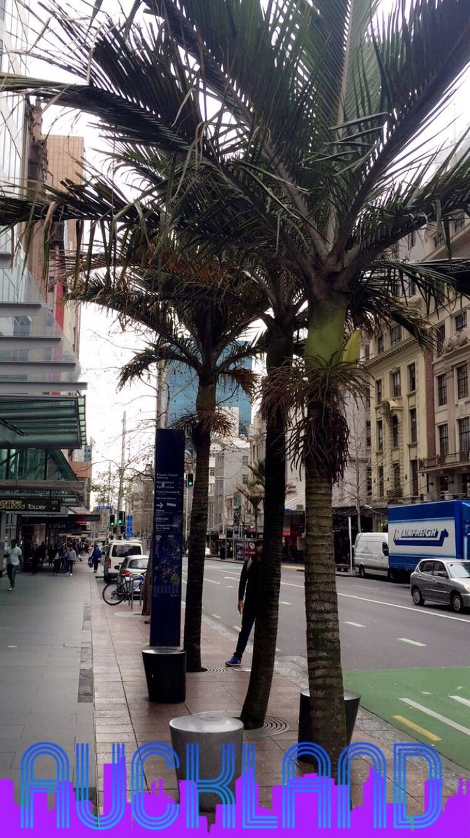 Neuseeland - Auckland - 