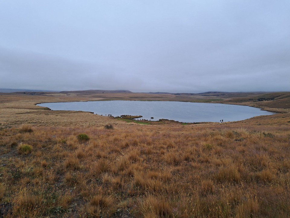 Neuseeland - Geraldine - 