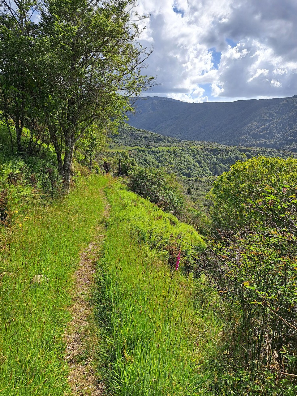 Neuseeland - Parawai Lodge - 