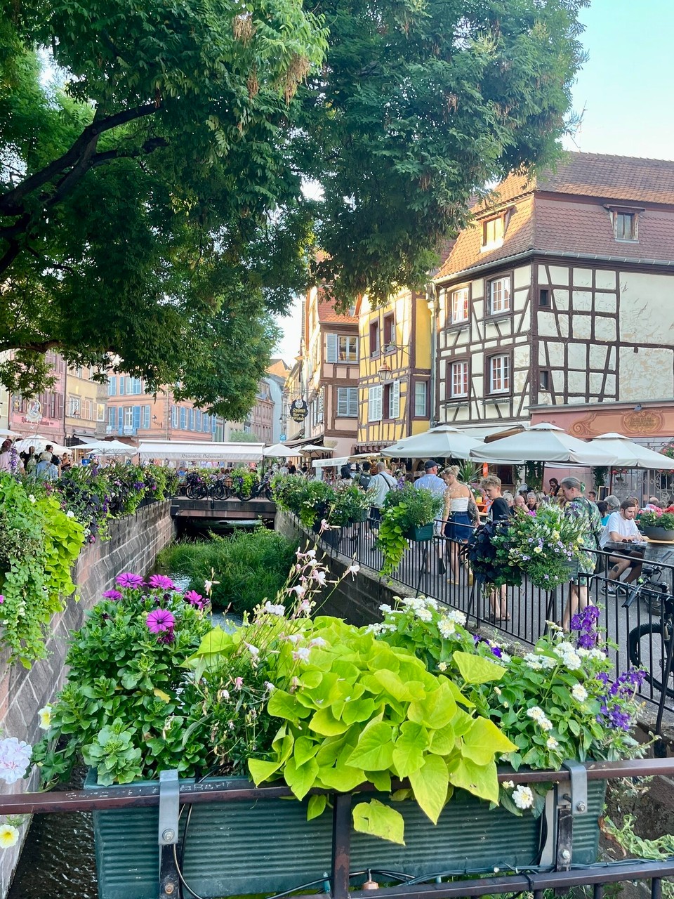 Frankreich - Colmar - 