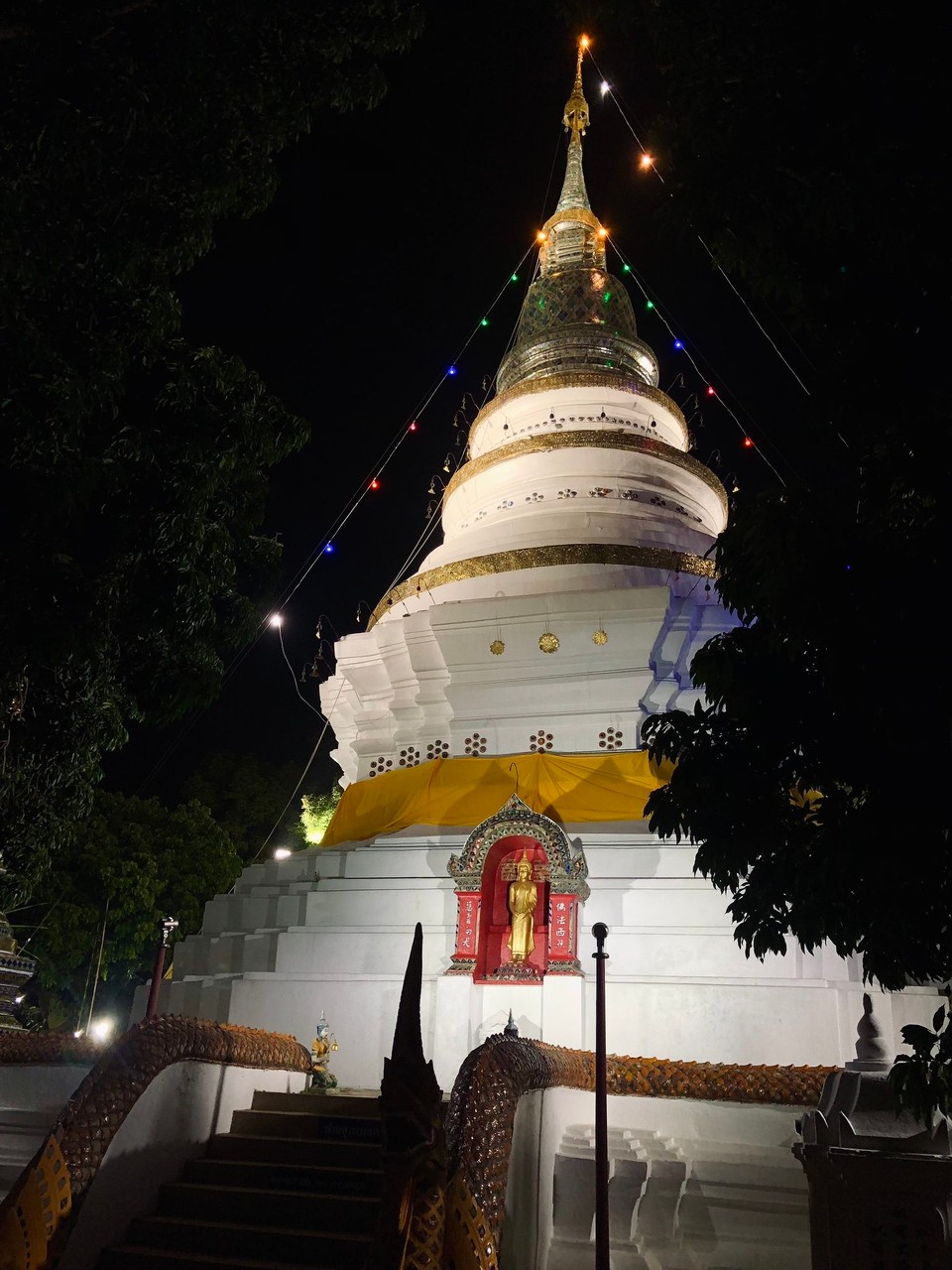 Thailand -  - Auf dem Spaziergang am Ping entdeckt 🌚