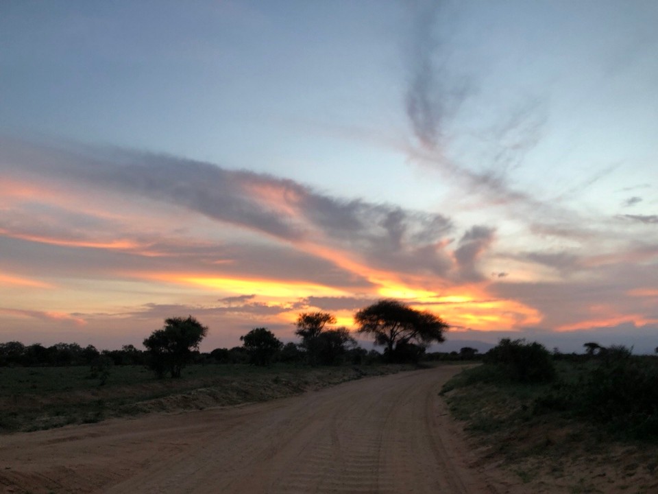 Kenia - Taita - 