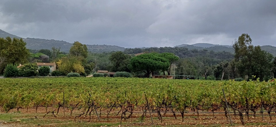 Frankreich - Grimaud - 